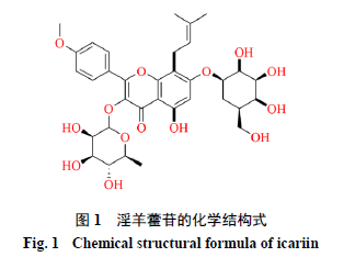 骨关节炎补硒有好处吗（硒对骨关节疾病有什么作用）-硒宝网