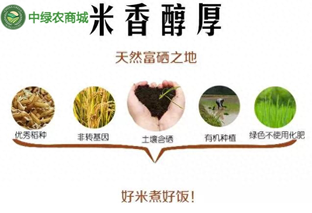 补硒的十大好处是什么(补硒很重要吗)-硒宝网