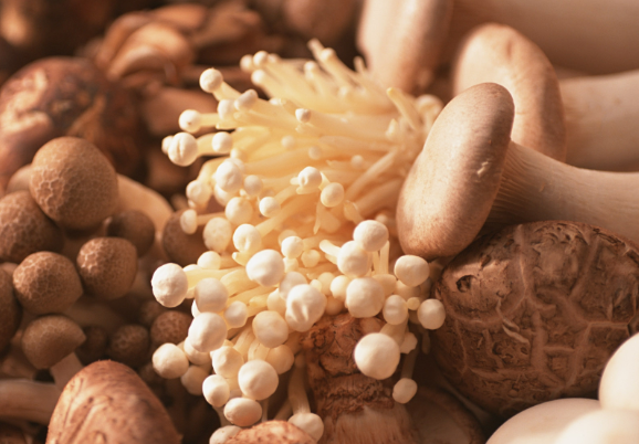 5月17日补硒日视频（补硒效果分享）-硒宝网