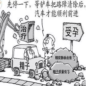 补硒对卵巢功能有用吗(硒对卵巢早衰)-硒宝网