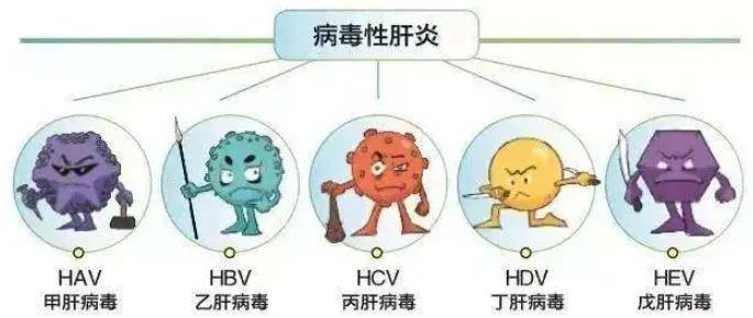 补硒能清除乙肝病毒吗（补硒治愈乙肝）-硒宝网