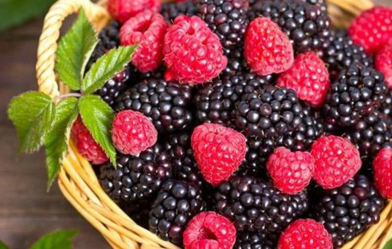 补硒第一名的食物是谁（补充硒类的食物有哪些）-硒宝网