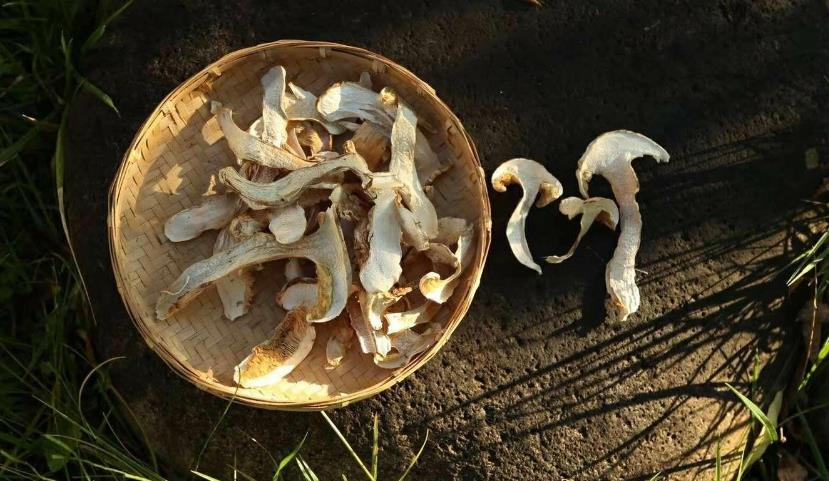 补硒第一名的食物是谁（补充硒类的食物有哪些）-硒宝网