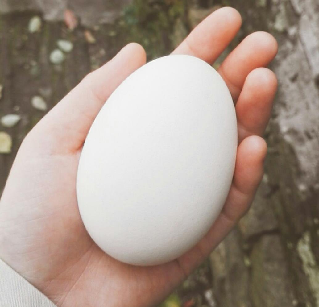 补硒第一名的食物是谁（补充硒类的食物有哪些）-硒宝网