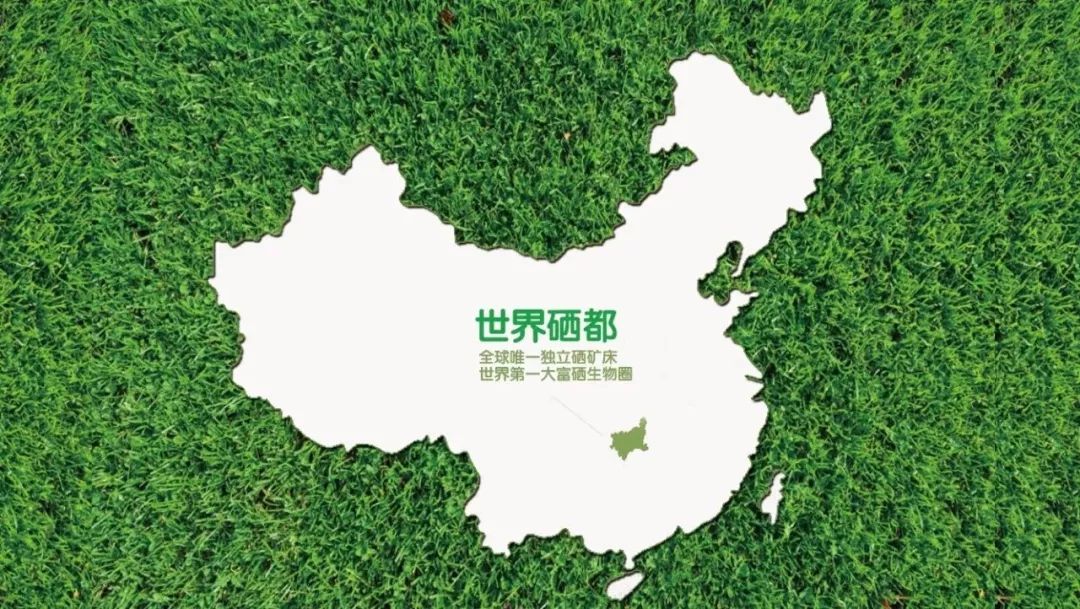 叶面补硒还是根系补硒(叶面喷施硒元素)-硒宝网