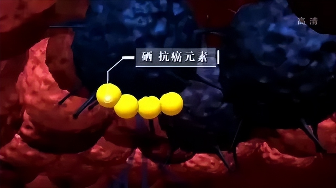 补硒的十大好处是什么（补硒的重要性）-硒宝网