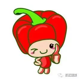 叶面补硒还是根系补硒（硒元素对植物根系的影响）-硒宝网