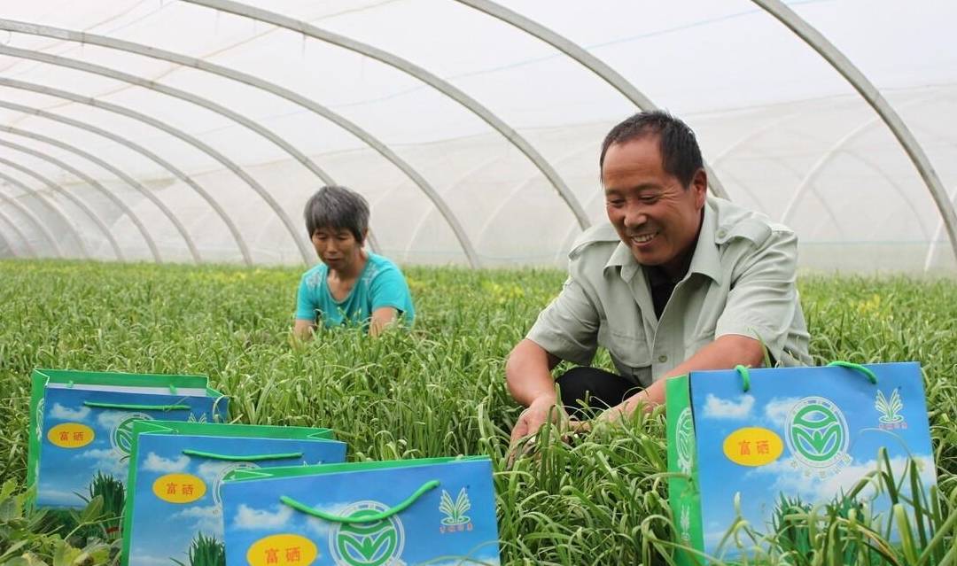 补硒硒的作用富硒食品(富硒食品好处)-硒宝网