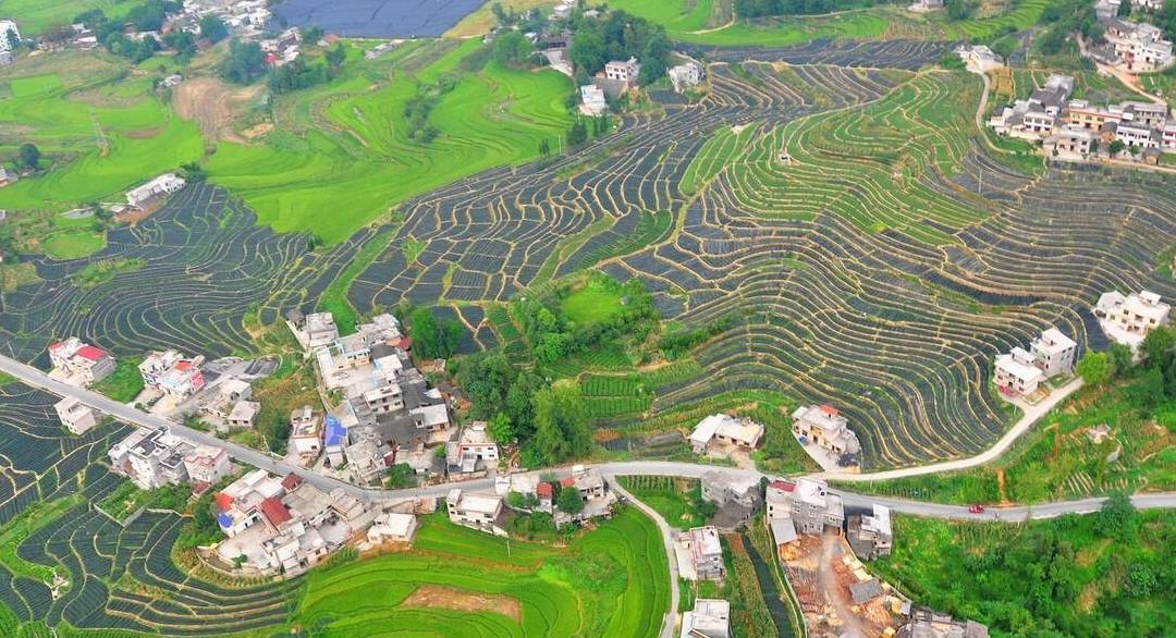 补硒硒的作用富硒食品(富硒食品好处)-硒宝网