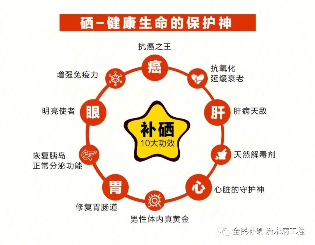 补硒的原则是什么补硒(补硒的意义)-硒宝网