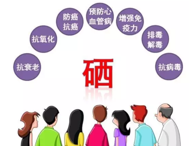 怎样补硒利于硒的吸收(硒补吸收利于吸收吗)-硒宝网