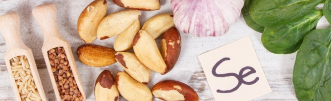 怎样补硒利于硒的吸收(硒补吸收利于吸收吗)-硒宝网