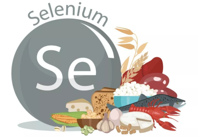 怎样补硒利于硒的吸收(硒补吸收利于吸收吗)-硒宝网