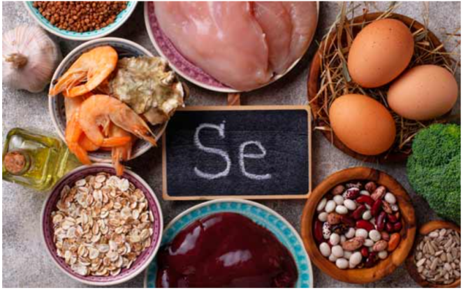 怎样补硒利于硒的吸收(硒补吸收利于吸收吗)-硒宝网