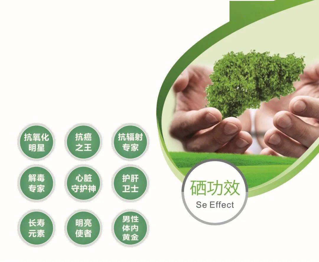 缺硒补哪种硒好呢女性（新硒望科学补硒协会）-硒宝网