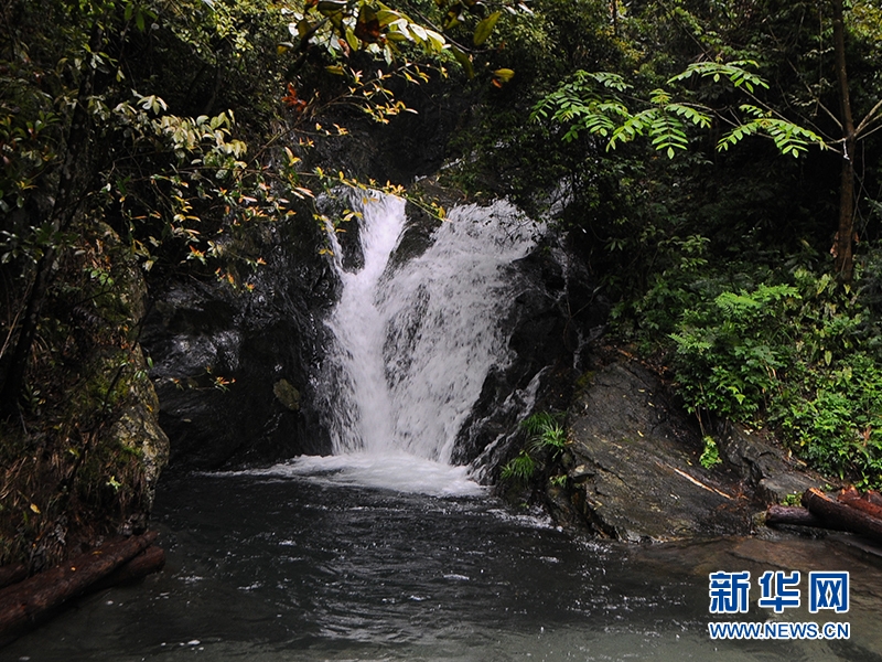 富硒科学补硒养生工程(中国科学补硒养生工程)-硒宝网