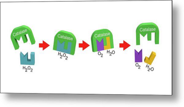 如果不缺硒可以补硒吗（缺硒不可）-硒宝网