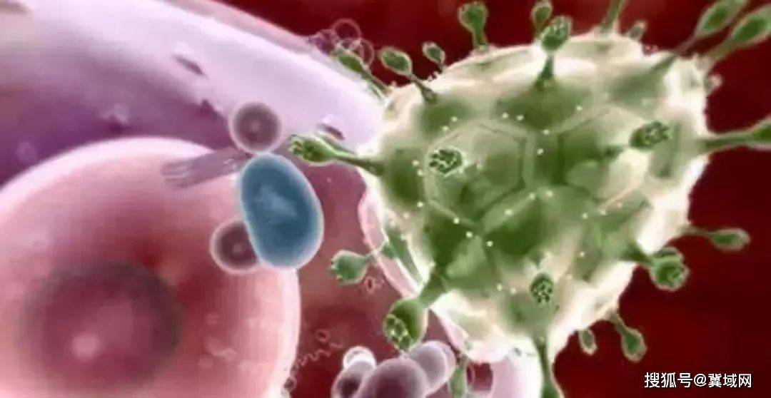 肺癌晚期补硒是什么硒(硒肺癌晚期能用吗)-硒宝网