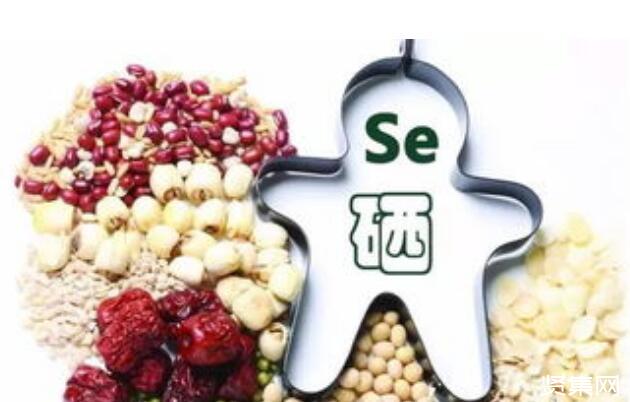 富硒蛋白硒片补硒元素(硒蛋白补元素片富硒的作用)-硒宝网
