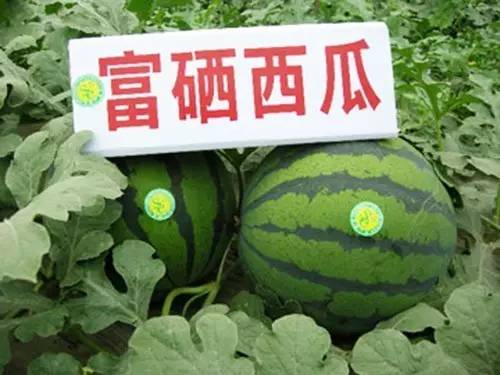 常年补硒会不会硒中毒（硒会中毒吗）-硒宝网