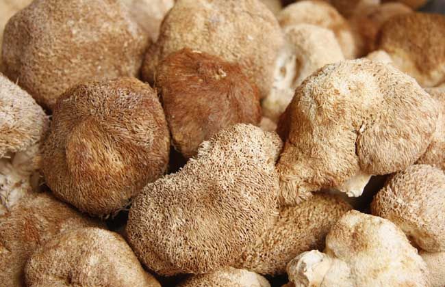 补硒哪个硒最容易吸收(硒会不会补多了)-硒宝网