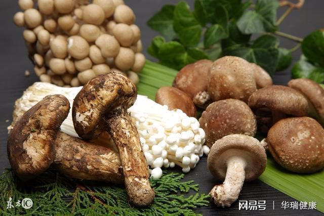 补硒哪个硒最容易吸收(硒会不会补多了)-硒宝网