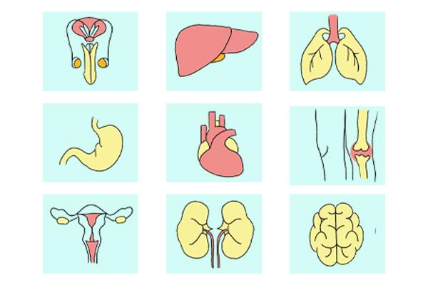 人体缺硒补什么硒最好(硒缺人体补好会怎么样)-硒宝网