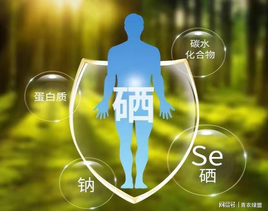 补硒怎么选择硒元素呢(硒元素的补充途径)-硒宝网