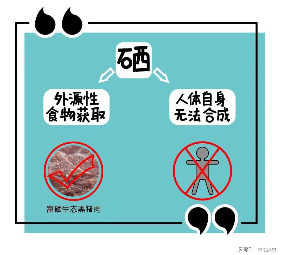 补硒怎么选择硒元素呢(硒元素的补充途径)-硒宝网