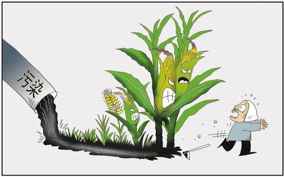 身体缺硒用长期补硒吗(缺硒需要补多长时间)-硒宝网