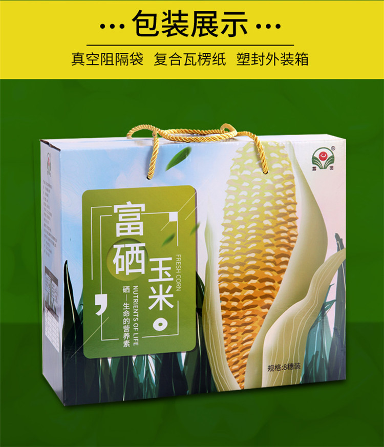 喝富硒绿茶可以补硒吗（绿茶喝补富硒硒可以吗女性）-硒宝网