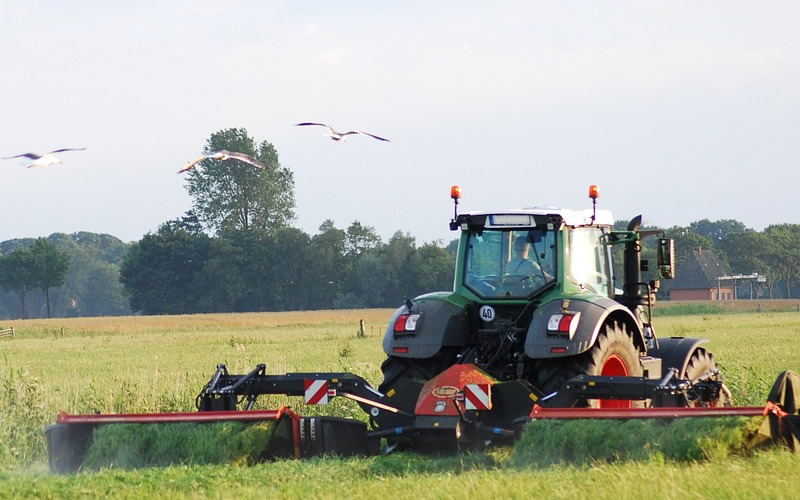 吃富硒大米还用补硒吗（富硒大米可以随便吃吗）-硒宝网