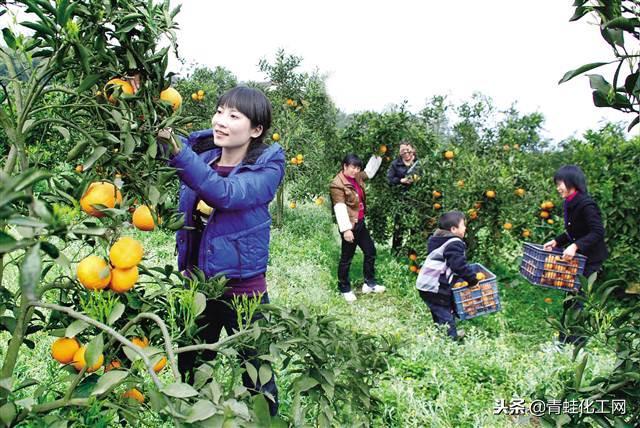 富硒地区的人能补硒吗(富硒可以用吗)-硒宝网