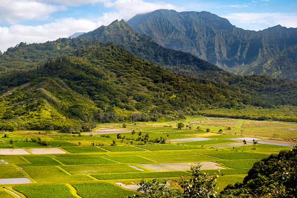 富硒地区的人能补硒吗(富硒有用吗)-硒宝网