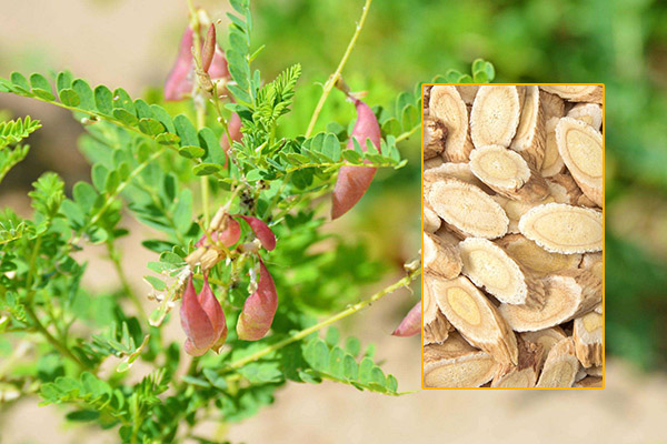 富硒地区的人能补硒吗(富硒有用吗)-硒宝网