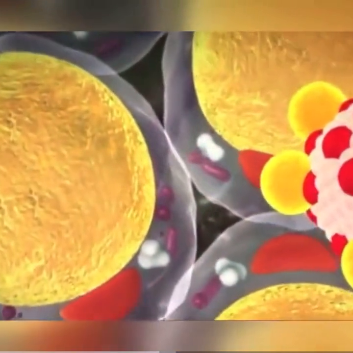 硒的作用和补硒的感受（补硒效果分享）-硒宝网