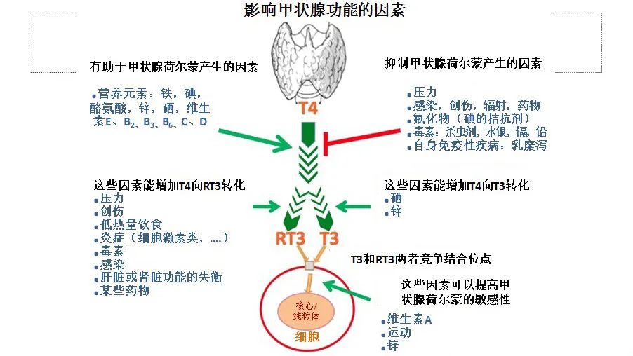 硒酵母片补硒效果如何（硒酵母补硒效果好吗）-硒宝网