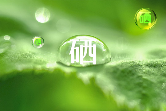 癌症补硒怎么补的好些（癌症患者补硒好是真的吗）-硒宝网