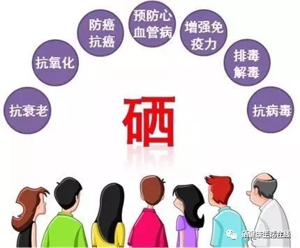 植物补硒怎么补最好呢(补植物硒好还是硒元素好)-硒宝网