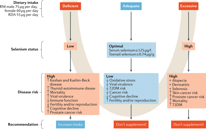 甲亢补硒补到什么程度(补程度甲亢硒到哪里去了)-硒宝网