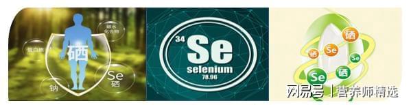 植物补硒怎么补最好呢(补植物硒有哪些好处)-硒宝网