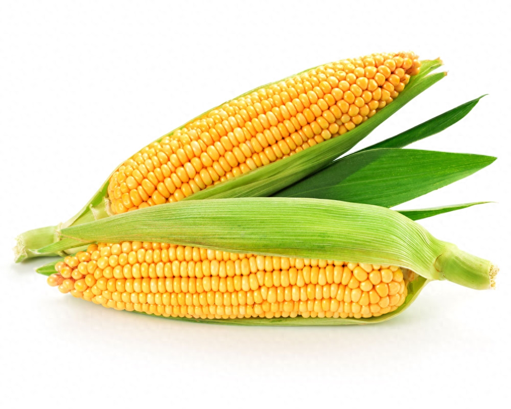 脂肪肝能否补硒元素硒（补硒对脂肪肝有好处吗）-硒宝网