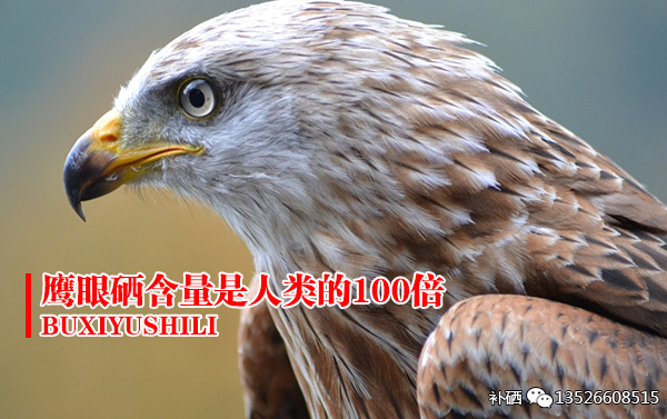 宝宝补硒需要补多久呢（科学补硒）-硒宝网