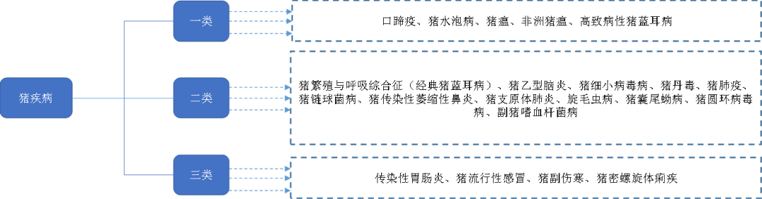 母猪补硒仔猪还用补吗（母猪补硒的方式）-硒宝网