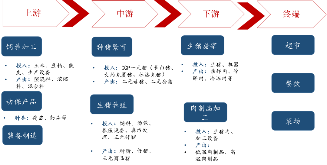 母猪补硒仔猪还用补吗（母猪补硒的方式）-硒宝网
