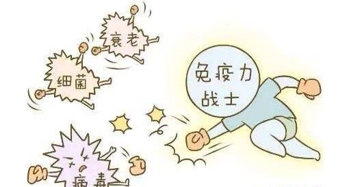 老人补叶酸还是补硒好（老人补叶酸有什么好处）-硒宝网