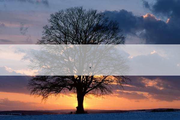 补硒还是补镁效果好点（硒和镁的作用）-硒宝网