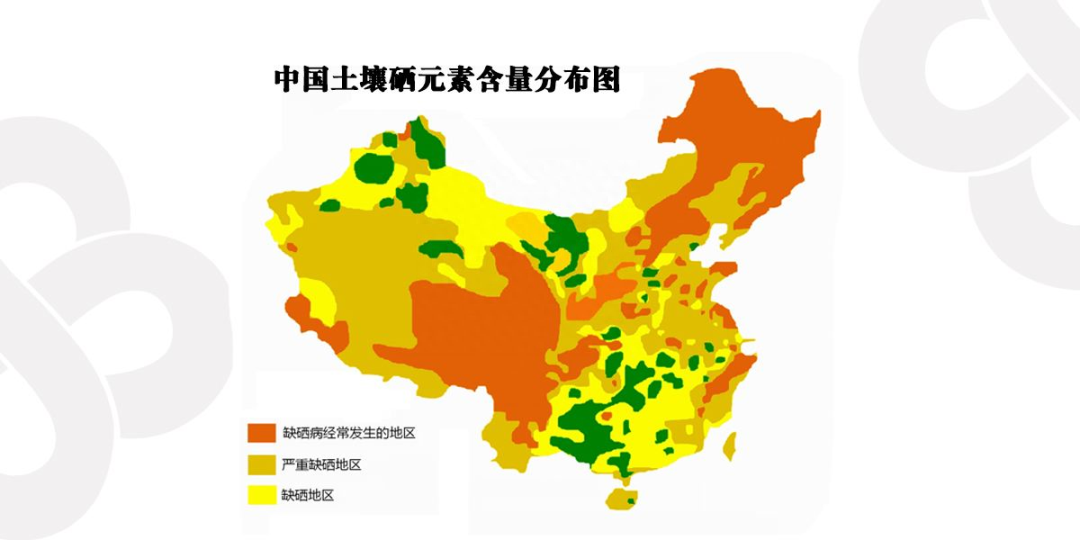5.17 全民补硒日（全民补硒刻不容缓是谁提出的）-硒宝网