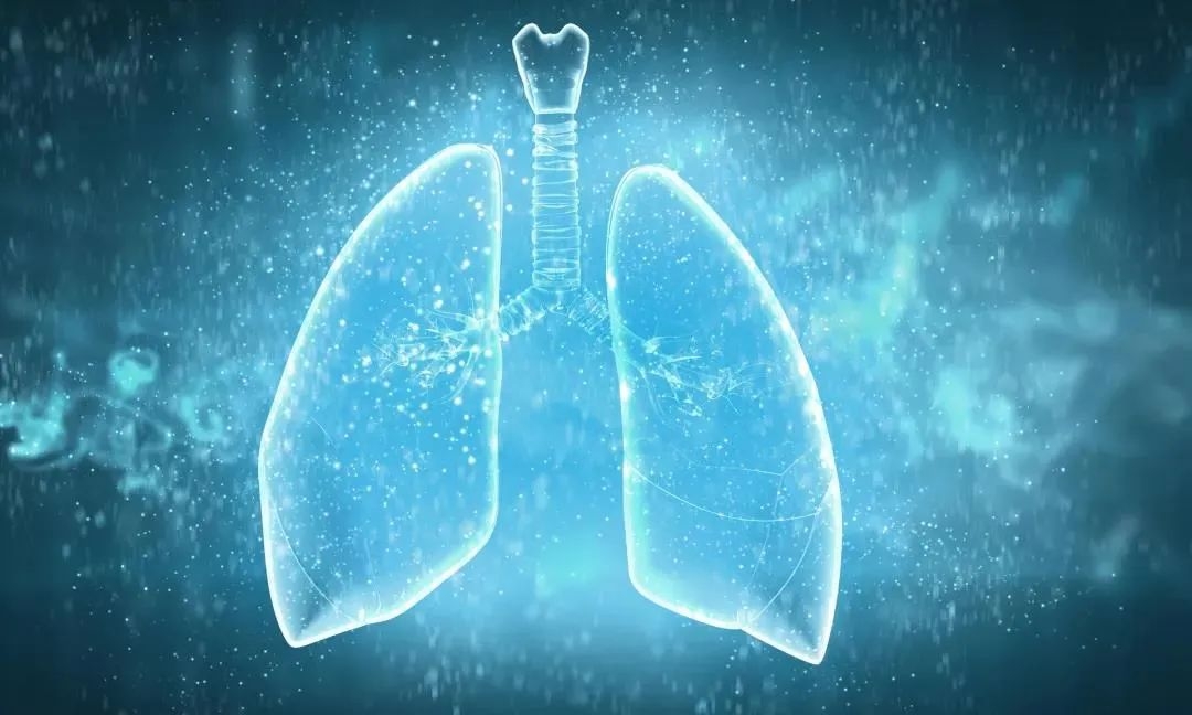 5.17 全民补硒日（全民补硒刻不容缓是谁提出的）-硒宝网