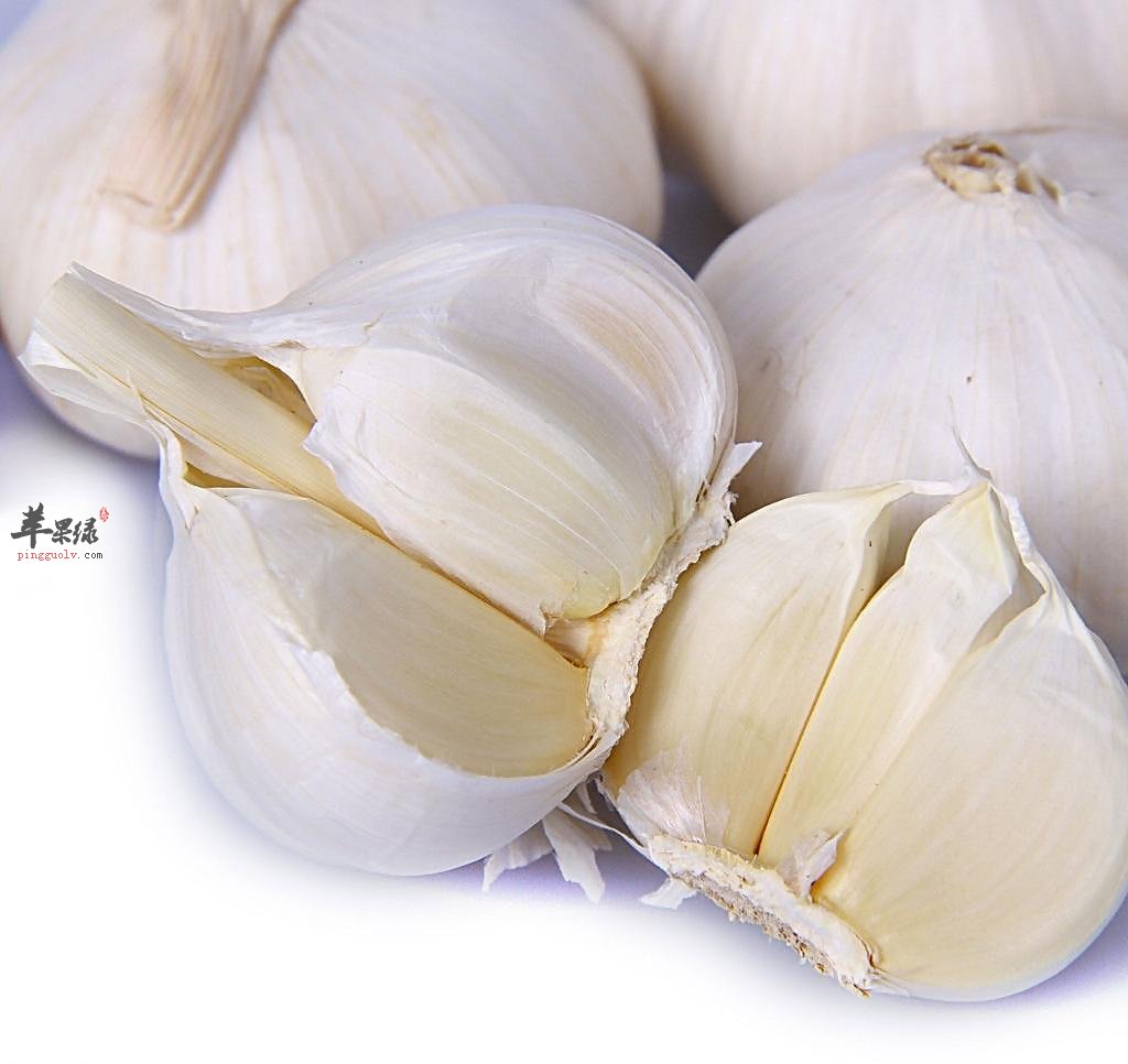 什么 食物可以补 硒(硒可以随便补充吗)-硒宝网